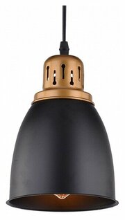 Arte Lamp Eurica A4248SP-1BK фото