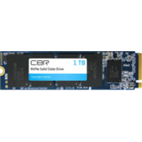 Cbr Standard 1TB SSD-001TB-M.2-ST22