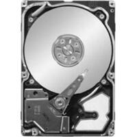 Seagate ST9300603SS