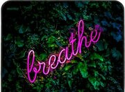 SmartBuy Breathe S SBMP-108-BR фото