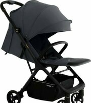 Sweet Baby Colibri фото